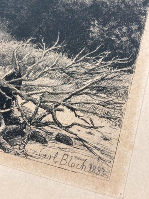 Radering af Carl Block 1883 i smuk guldramme.