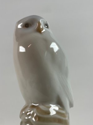 Uglefigur Royal