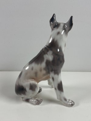 Dahl Jensen hund nr. 1178