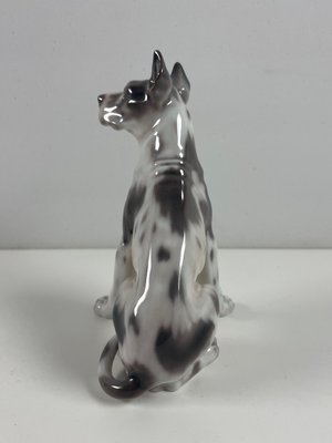 Dahl Jensen hund nr. 1178