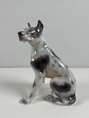 Dahl Jensen hund nr. 1178
