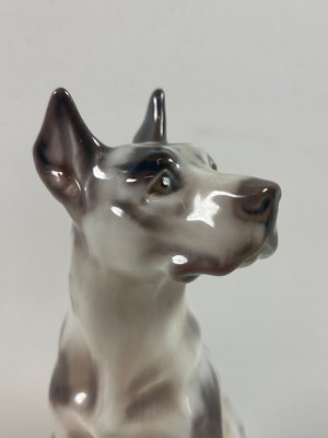 Dahl Jensen hund nr. 1178