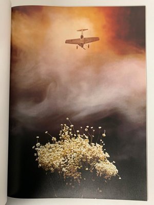 Haskins Posters, 1972