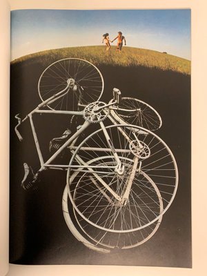 Haskins Posters, 1972